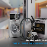 Smart Appliances: The Future of Energy Savings